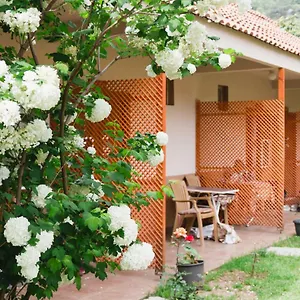 https://village-garden-pansiyon.allantalyahotels.org